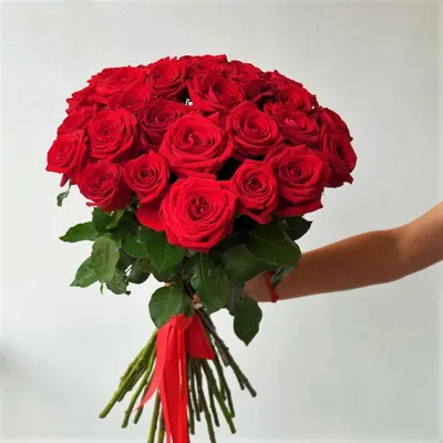 Купить букет из 31 красной розы (70 см) по доступной цене с доставкой в  Москве и области в интернет-магазине Город Букетов