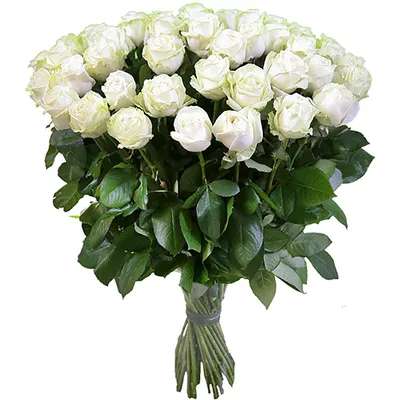 Букет из 31 красной розы купить с доставкой по Киеву, Украине и Миру-  AnnetFlowers