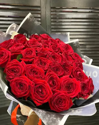 Купить 31 розу 90-100 см недорого с доставкой в Челябинске