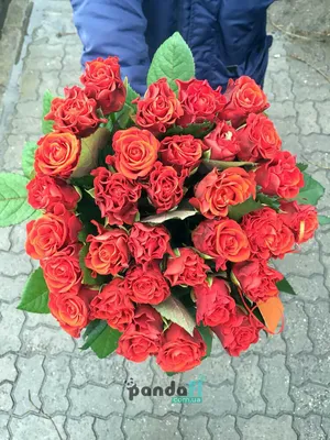 Купить Букет из 31 розовой российской розы в Краснодаре