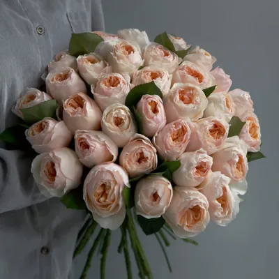 Купить букет из 31 малиновой розы (70 см.) по доступной цене с доставкой в  Москве и области в интернет-магазине Город Букетов