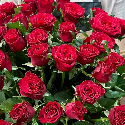 Купить Букет из розы Лондон Ай 31 штука 60 см в Краснодаре