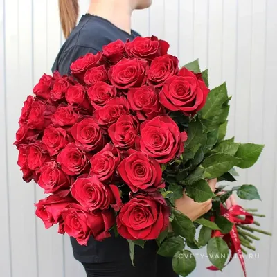 Купить Букет из 31 розы Explorer 90 см в Краснодаре