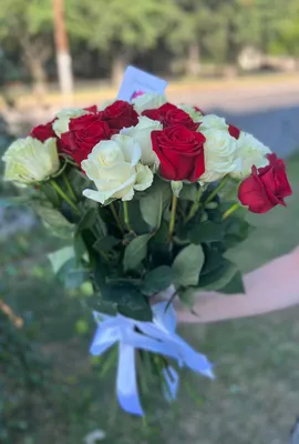 31 розовая роза (Кения) купить с доставкой в Москве | Заказать букет цветов  недорого