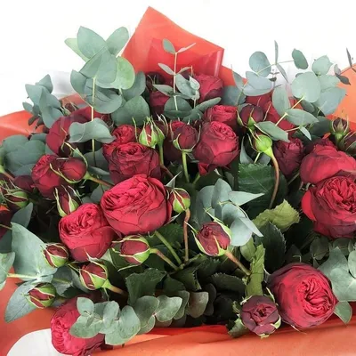 Купить 31 красную розу в Калининграде с доставкой за 1 час