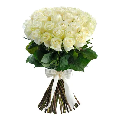 Купить 31 розу с доставкой в Воронеже - Mon-Bouquet