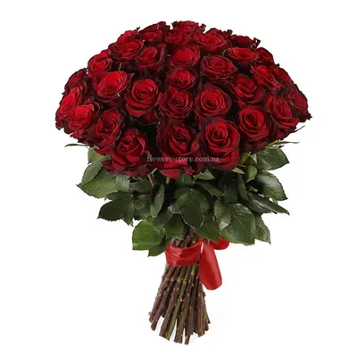 Букет из 35 красных роз 50 см (Россия) в Санкт-Петербурге, купить букет с  доставкой в СПБ | ЦветыОптРозница
