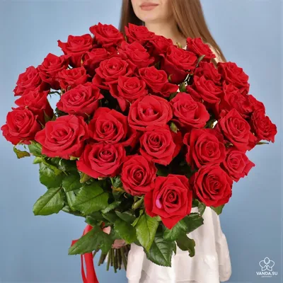 35 красных роз Premium 40 см - купить в Москве по цене 3490 р - Magic Flower