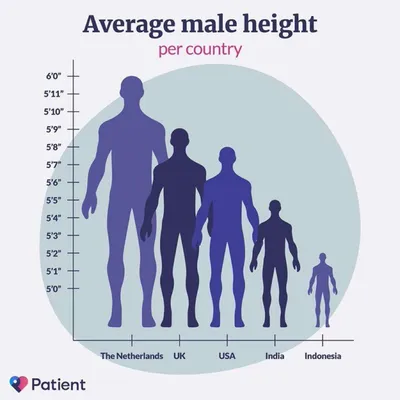 Tall | Manlet | Know Your Meme