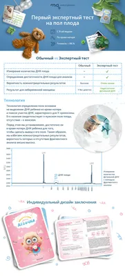 Ученые отследили движение нейронов в развивающемся мозге / Хабр