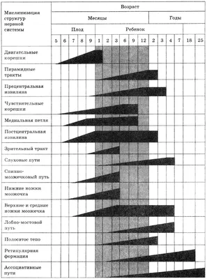 Штамм диплоидных клеток легкого эмбриона человека лэч-4(81), используемый  для диагностики вирусных инфекций — SU 1147748