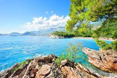 Скалистый берег Адриатического моря. Черногория. Stock Photo | Adobe Stock