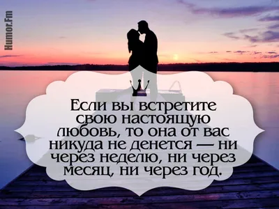 Красивые цитаты о любви и отношениях: лучшие афоризмы о любви и крылатые  выражения - Новости Украины и мира - life