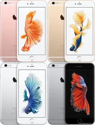 Apple Iphone 6S Plus With Facetime - 64 GB, 4G LTE, Space Grey, 2 GB Ram,  Single Sim : Buy Online at Best Price in KSA - Souq is now Amazon.sa:  Electronics