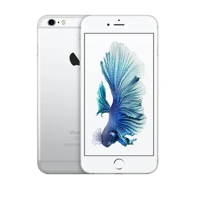 iPhone 6S Plus For Sale, Used and Refurbished - Swappa