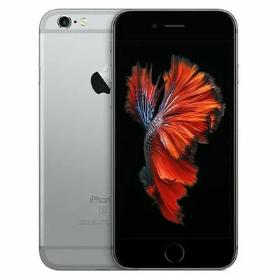 Apple iPhone 6s Plus 32Gb Rose Gold без touch id - купить в  интернет-магазине