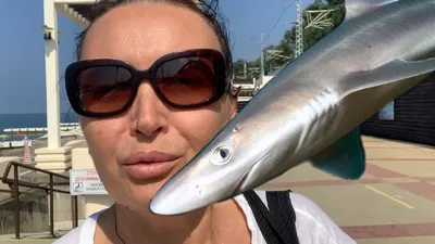 Почему акулы избегают Черного моря - Русская семерка