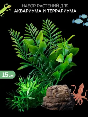 Купить искусственное растение для аквариума AQUA DELLA Florascape 7,  полиэфирная смола, цены на Мегамаркет | Артикул: 600000988331