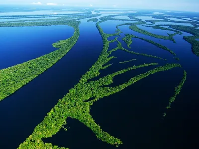 Фото амазонка река фото