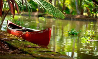 Река Амазонка В Бразилии — стоковые фотографии и другие картинки Амазония -  Амазония, Река Амазонка, Река - iStock