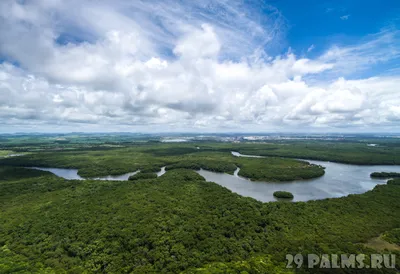 Неизвестная Амазонка. Самые интересные факты. | OUTLOOK