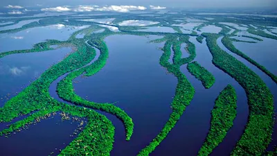 Река Амазонка в Бразилии (55 фото) - 55 фото