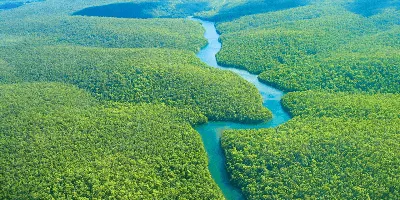 Река Амазонка - самая полноводная река... - Around the ocean | Facebook