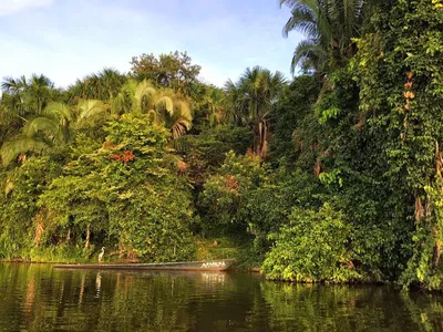 Таинственная река амазонка | Пикабу