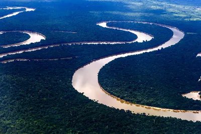 Амазонка, река Амазонка, вода, Перу, Икитос Стоковое Изображение -  изображение насчитывающей природа, пейзаж: 161645897