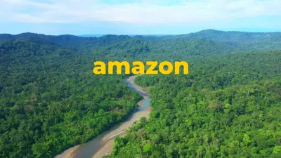 Самая длинная река в мире – Амазонка или Нил? | Шишкин Лес | Дзен