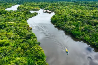 Амазонка(Бразилия) | Zenq.am