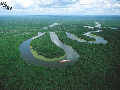 река Амазонка - Фрилансер Ефим Бледных monzzie - Портфолио - Работа #4486172