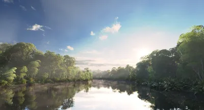 Закат Реки Амазонки — стоковые фотографии и другие картинки Река Амазонка - Река  Амазонка, Дождевой лес Амазонии, Амазония - iStock