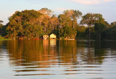 Фотообои \"Река Амазонка в тропических джунглях Ясуни. Эквадор\" - Арт.  150026 | Купить в интернет-магазине Уютная стена
