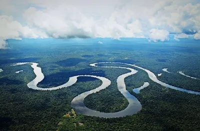 Амазонка – природное чудо планеты | Пикабу