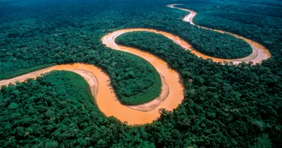 Река амазонка, профессиональное фото, …» — создано в Шедевруме