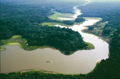Амазонка: от Перу до Бразилии по самой большой реке в мире - Статья