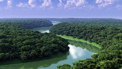 Maqua.by - 📍Амазонка является самой полноводной рекой в мире. А совсем  недавно, еще и признана самой длинной рекой мира, немного обогнав Нил.  Длина Амазонки составляет 6992 км😯 🌍Протекает великая река по территории