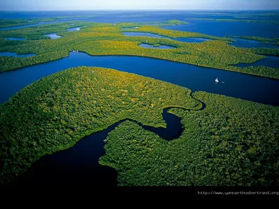 NASA опубликовало снимок реки Амазонки из космоса, новости Украины