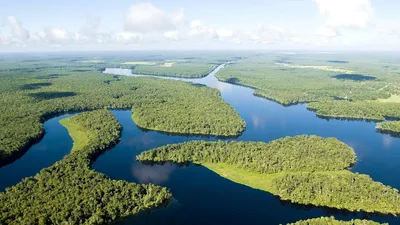 Великая река Амазонка, раздолье,…» — создано в Шедевруме