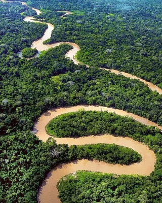 Почему через Амазонку до сих пор не построили мост / Путешествия и туризм /  iXBT Live