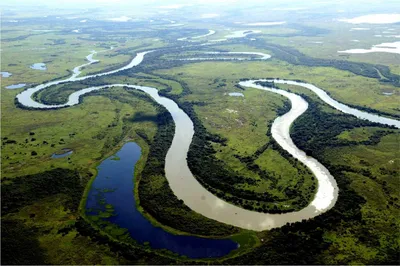 Beautiful Travel: Река Амазонка – бесценный дар природы