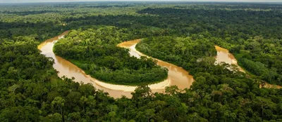 Река В Амазонке — стоковые фотографии и другие картинки Река Амазонка - Река  Амазонка, Дождевой лес Амазонии, Амазония - iStock