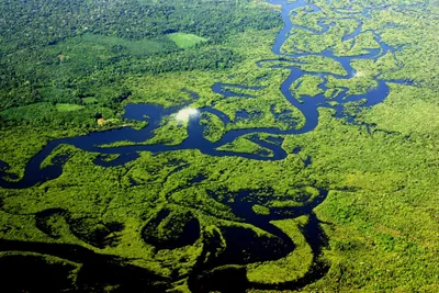 река амазонка закат отражение икитос перу Стоковое Фото - изображение  насчитывающей мальдонадо, подача: 222120352