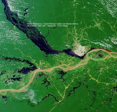 Полесская Амазонка, или Как разливается река Припять | Планета Беларусь
