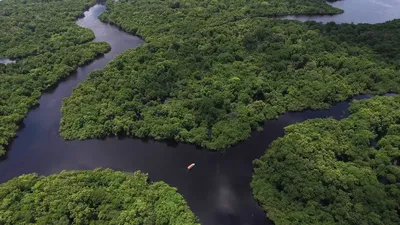 Река Амазонка возникла 11 миллионов лет назад - ученые - РИА Новости,  08.07.2009