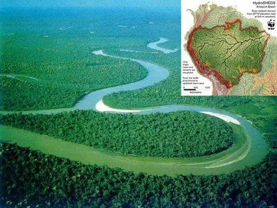 Река Амазонка - красивая и опасная. | Дневник путешественника🍀 | Дзен