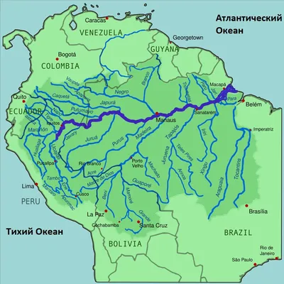 Река Амазонка глазами Александра Федорова | Пикабу