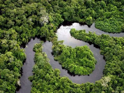 Enthusiasm GQ - Королева рек или Мистическая Амазонка Река Амазонка –  занимательное и в некотором роде мистическое место во всей Южной Америке.  Длина Амазонки составляет 6400 км. Она питает наибольший тропический лес