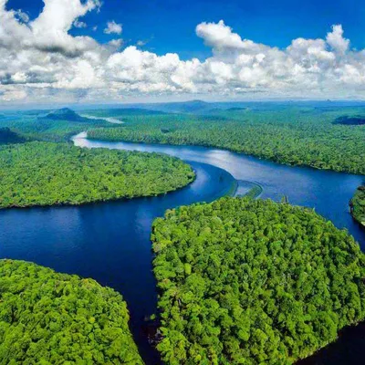Изобильный Фото сверху: река Амазонка в Южной Америке Фото снизу: река  Егорлык в Изобильненском.. | ВКонтакте